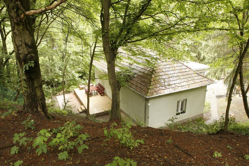 Harangvirag 36 Vendeghaz Villa Kismaros Eksteriør bilde